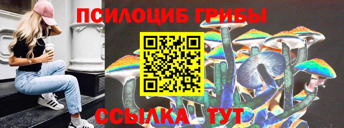 Галлюциногенные грибы GOLDEN TEACHER Выборг