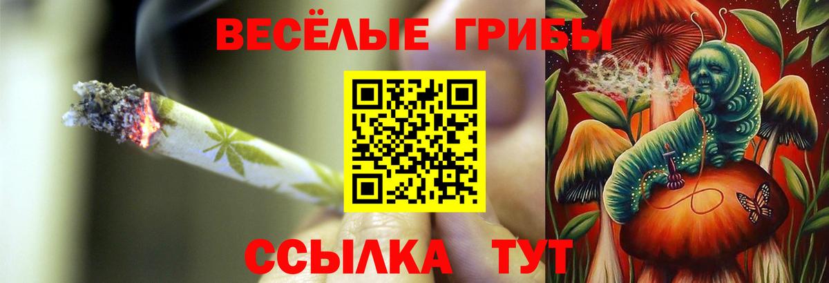 Выборг  Галлюциногенные грибы Psilocybe  Псилоцибиновые грибы Psilocybine cubensis  Вход с VPN 