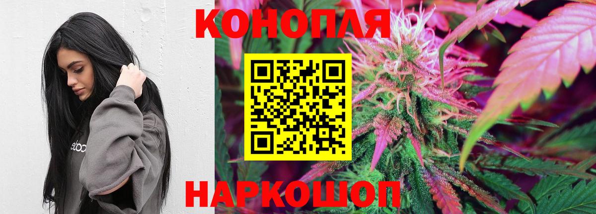 Бошки Шишки SATIVA & INDICA  Шишки марихуана индика  Канабис OG Kush  Выборг  Вход с VPN 